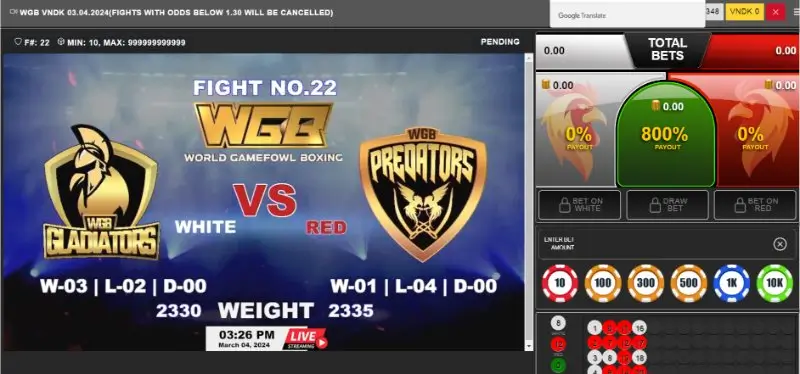 Cách cá cược đá gà trực tiếp c1 online tại 12bet