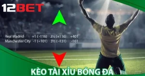 Tìm hiểu về kèo tài xỉu cùng chuyên gia 12bet